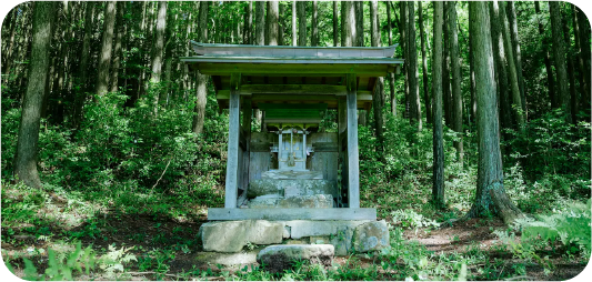 歴史・文化にふれる