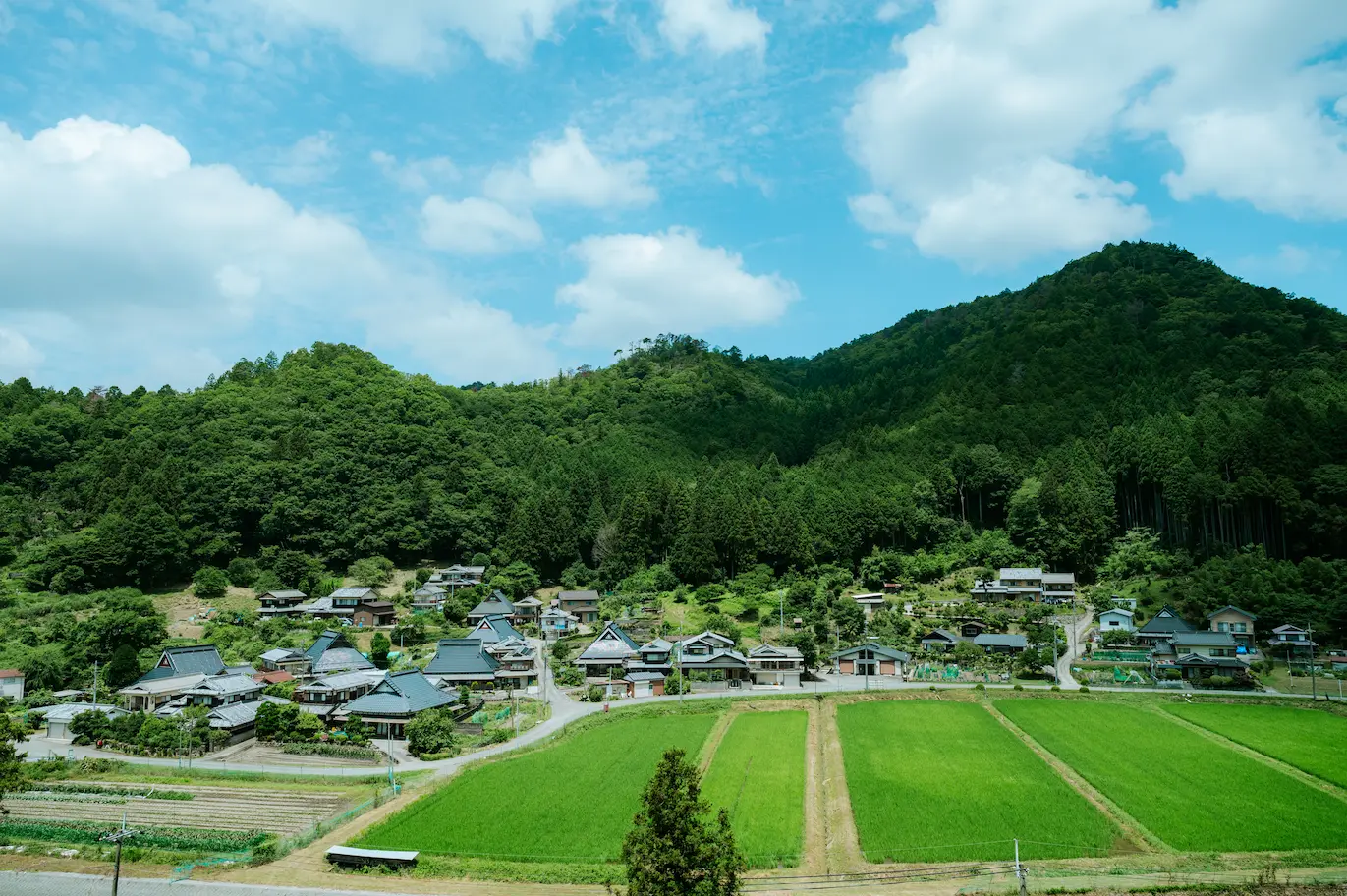 後川の風景